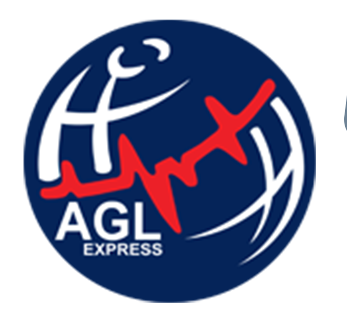 International Courier and Cargo Services Dubai, UAE